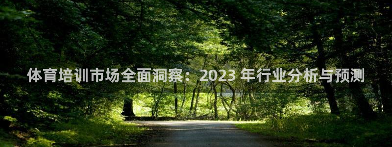 欧陆娱乐不让提现吗：体育培训市场全面洞察：2023 