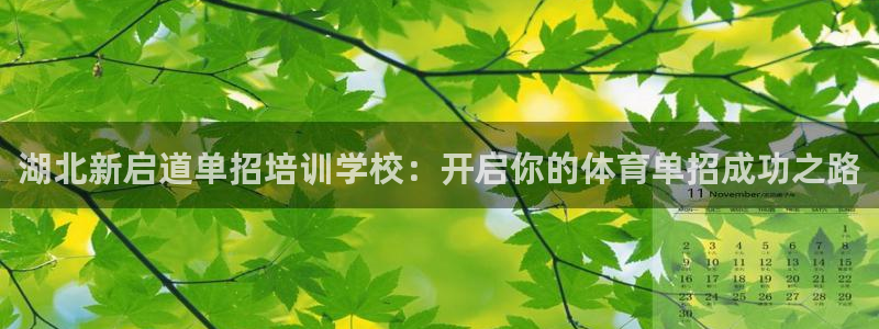 欧陆娱乐怎么注册会员账号：湖北新启道单招培训学校：开